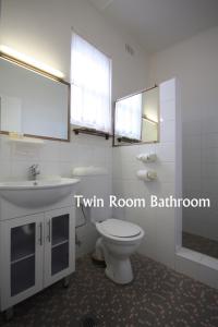 亚斯喜路汽车旅馆的一间带卫生间、水槽和镜子的浴室