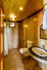 考萨尼Himalaya Darshan Resort的一间带卫生间和水槽的浴室