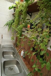 玛琅SEMERU HOSTEL MALANG的厨房的水槽上面有一堆植物