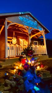 采格莱德Club Thermal Village Cegled的装饰有圣诞灯和圣诞树的房子