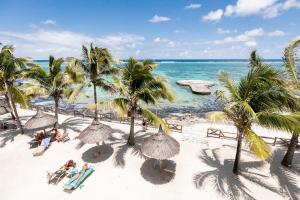 蓝海湾半岛海湾海滩Spa度假酒店的享有棕榈树海滩和大海的空中景致