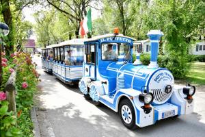 Ca LinoIsamar Holiday Village的一条蓝色和白色的小火车