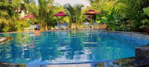 巴加小印度海滩旅馆的度假酒店游泳池内的人