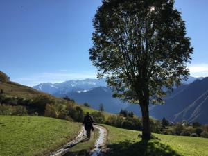 Sauveterrechambre et table d'hôtes La Grande Ourse的相册照片