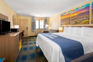 阿拉莫戈多阿拉莫戈多戴斯酒店的一间酒店客房,配有一张大床和一台平面电视