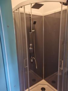 鲁斯内帕卡尔内斯温吉斯乡村民宿的浴室里设有玻璃门淋浴
