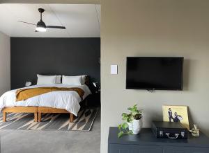 香槟谷The Goodland Cottages的一间卧室配有一张床和一台平面电视