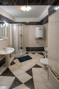 克拉托维Penzion U Hejtmana的带淋浴、盥洗盆和卫生间的浴室