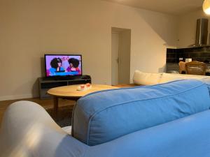 奥比松L’Albuconis 5 logement entier的客厅配有蓝色的沙发和电视