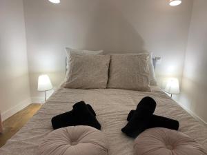 奥比松L’Albuconis 5 logement entier的一间卧室配有一张带两个枕头的床