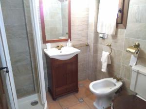 塞尔瓦堡Casa Concha的一间带水槽、卫生间和淋浴的浴室