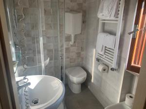 布雷西亚玛尔奇娜酒店的一间带水槽、卫生间和淋浴的浴室