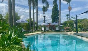 华纳海湾海滨大道汽车旅馆的一座棕榈树和遮阳伞的游泳池
