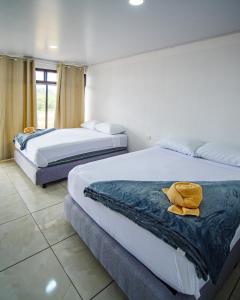蒙泰韦尔德哥斯达黎加Hostel Cattleya - Monteverde, Costa Rica的两间位于酒店客房的床,上面有泰迪熊