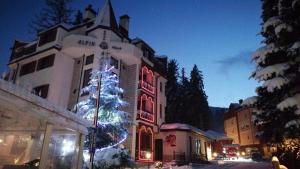 波罗维茨Alpin Borovets, Алпин Боровец的建筑物前的圣诞树
