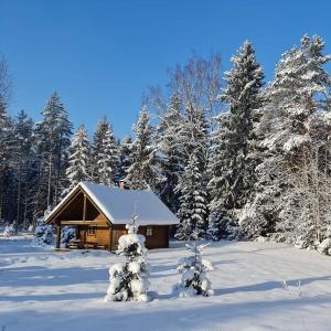 MägedeTõrvaaugu Holiday Homes的雪中小屋,有雪覆盖的树木