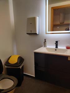 雷克雅未克SM Hostel的一间带卫生间、水槽和镜子的浴室