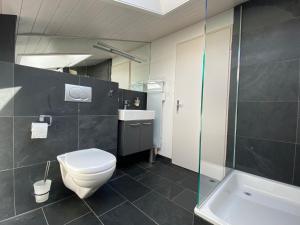 施瓦尔茨湖Ferienhaus Relax的浴室配有卫生间、盥洗盆和淋浴。