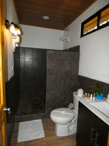 德雷克Tapiru's House - Bahia Drake的浴室配有白色卫生间和淋浴。