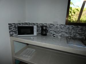 德雷克Tapiru's House - Bahia Drake的厨房柜台配有微波炉和水槽