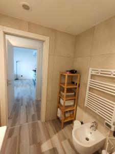 米兰Grazioso Monolocale Milano的一间带水槽、卫生间和架子的浴室