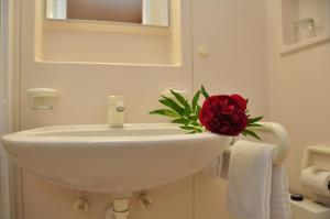 洛豪伽斯特豪斯伯恩哈德酒店的浴室设有白色水槽,上面有红玫瑰