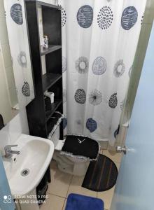 纳塔列斯港Casa 5-6 Personas Puerto Natales的一间带水槽、卫生间和淋浴的浴室