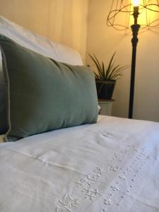皮恩扎Vento d’Orcia的床上有绿色枕头