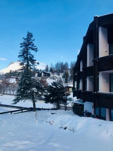 莫泽恩NEST'L Appartements & Zimmer的一座有树和建筑物的雪覆盖的院子