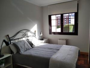 奥维多JARDINES DE VINJOY的一间卧室设有一张大床和一个窗户。