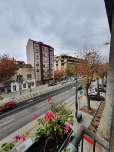 贝尔格莱德Apartment, Stari Grad, Belgrade的享有拥有建筑和鲜花的城市街道的景色
