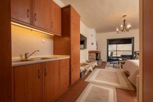 帕雷斯阿吉萨那VORAS 180° VIEW的一个带水槽的厨房和一间客厅