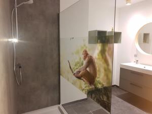 迪尔森-斯托科姆Vakantiewoning 'De Vlaamse Aap'的配有淋浴的浴室,带有一幅画画