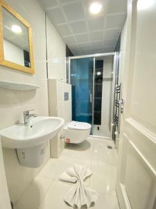 卡尔斯肯特阿尼酒店的一间带水槽、卫生间和淋浴的浴室