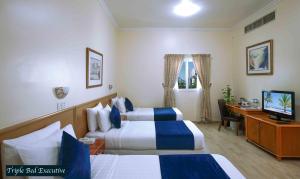 沙迦阿尔塞夫酒店的酒店客房设有两张床和电视。