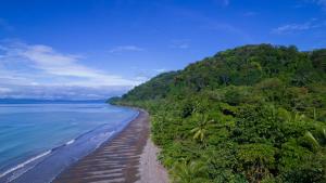 Piedras BlancasDolphin Quest Costa Rica的享有树木繁茂的海滩和海洋的空中景致