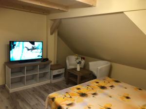 普利比利那Apartmány Matilda的一间卧室配有一张床和一台平面电视