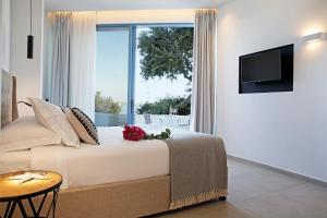 斯卡拉绿洲海滩酒店的一间卧室设有一张床和一个大窗户