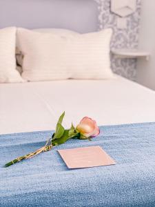 塞辛布拉Filipe Village - Casa da Índia的一张粉红色的卡片和床上的玫瑰