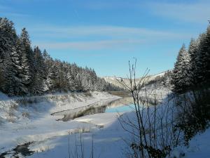 PlanfoyLa Fortance Paradis Naturel - Proche de la ville的一条有雪的河,在地面上,在树上