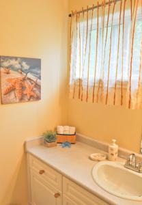 尤克卢利特Wild Pacific Guest Suites的一间带水槽和窗户的浴室