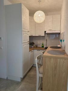 萨格勒布Jarun Lake的厨房配有白色冰箱和台面