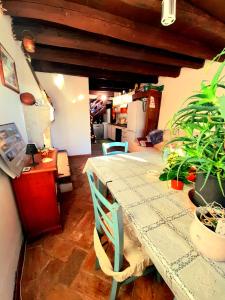 佩斯基耶拉德加达ZANINA COUNTRY HOUSE的一间用餐室,配有植物桌子