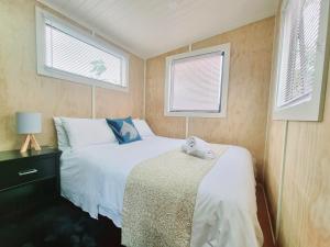 但尼丁Dunedin Retreat Cabin的一间小卧室,配有床和2个窗户