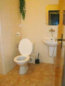 Dlouhá BrtniceRestaurace penzion Rafael的一间带卫生间和水槽的浴室