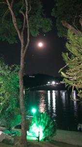 伊加拉塔Pousada Paraiso de Igaratá的夜晚在水体上满月