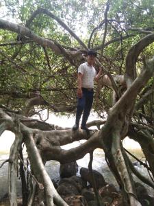 Tân PhúFOREST BREATH ECO-LODGE的站在树枝顶上的人