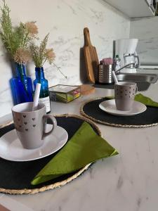 蒙彼利埃VAM STUDIO MONTPELLIER的厨房柜台上的两个杯子和碟子