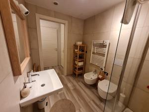 米兰Grazioso Monolocale Milano的一间带水槽、卫生间和淋浴的浴室