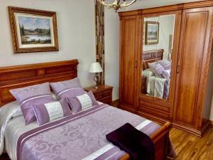 Hontoria del PinarCASA RURAL COSTALAGO的一间卧室配有一张带紫色枕头和镜子的床